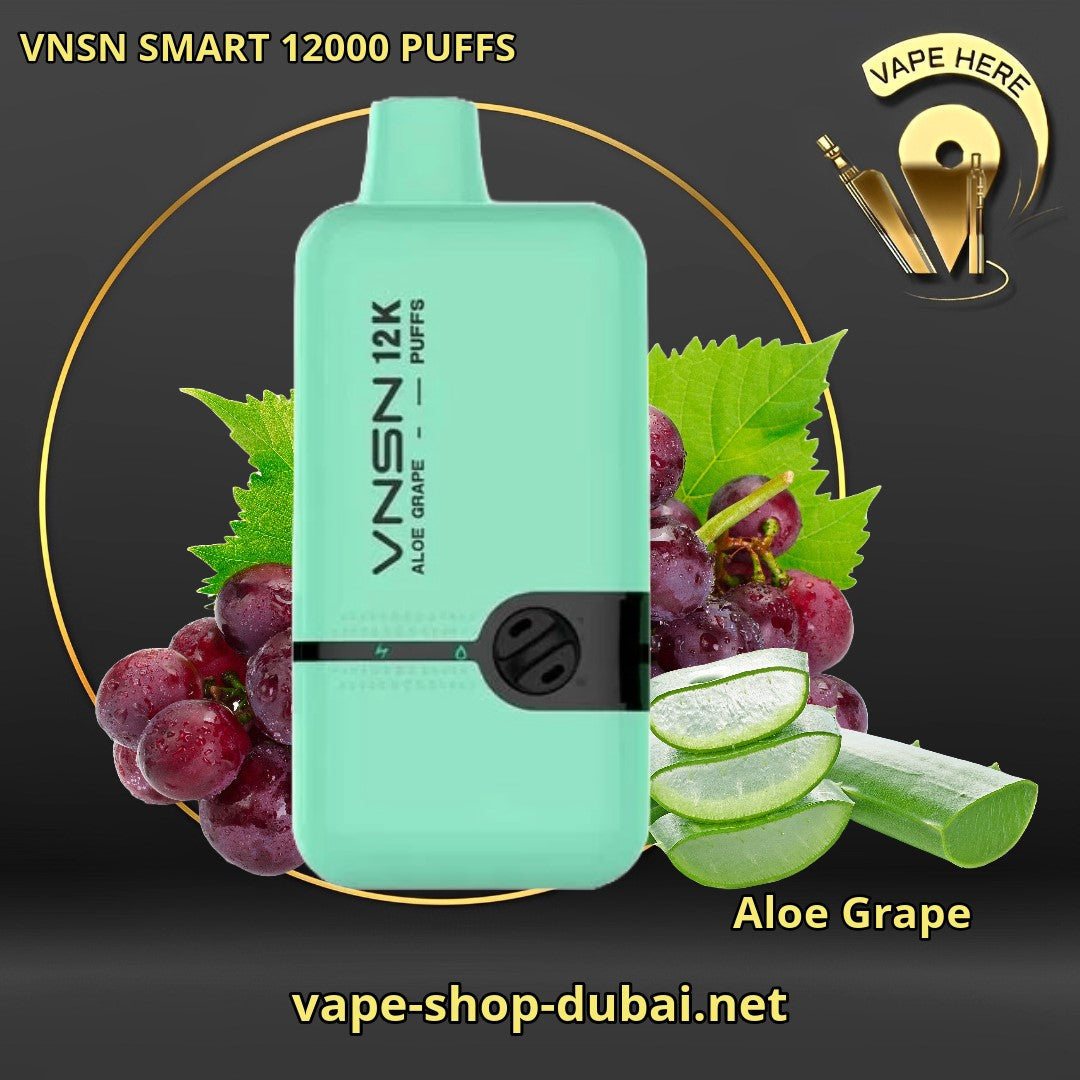 VNSN SMART 12000 PUFFS DISPOSABLE VAPE | VNSN 12000 Puffs Price & Flavors