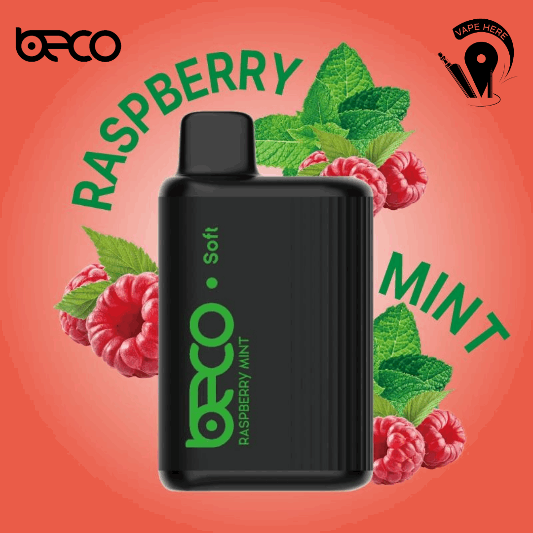 BECO SOFT 6000 Puffs Disposable Vape Raspberry Mint UAE Ajman