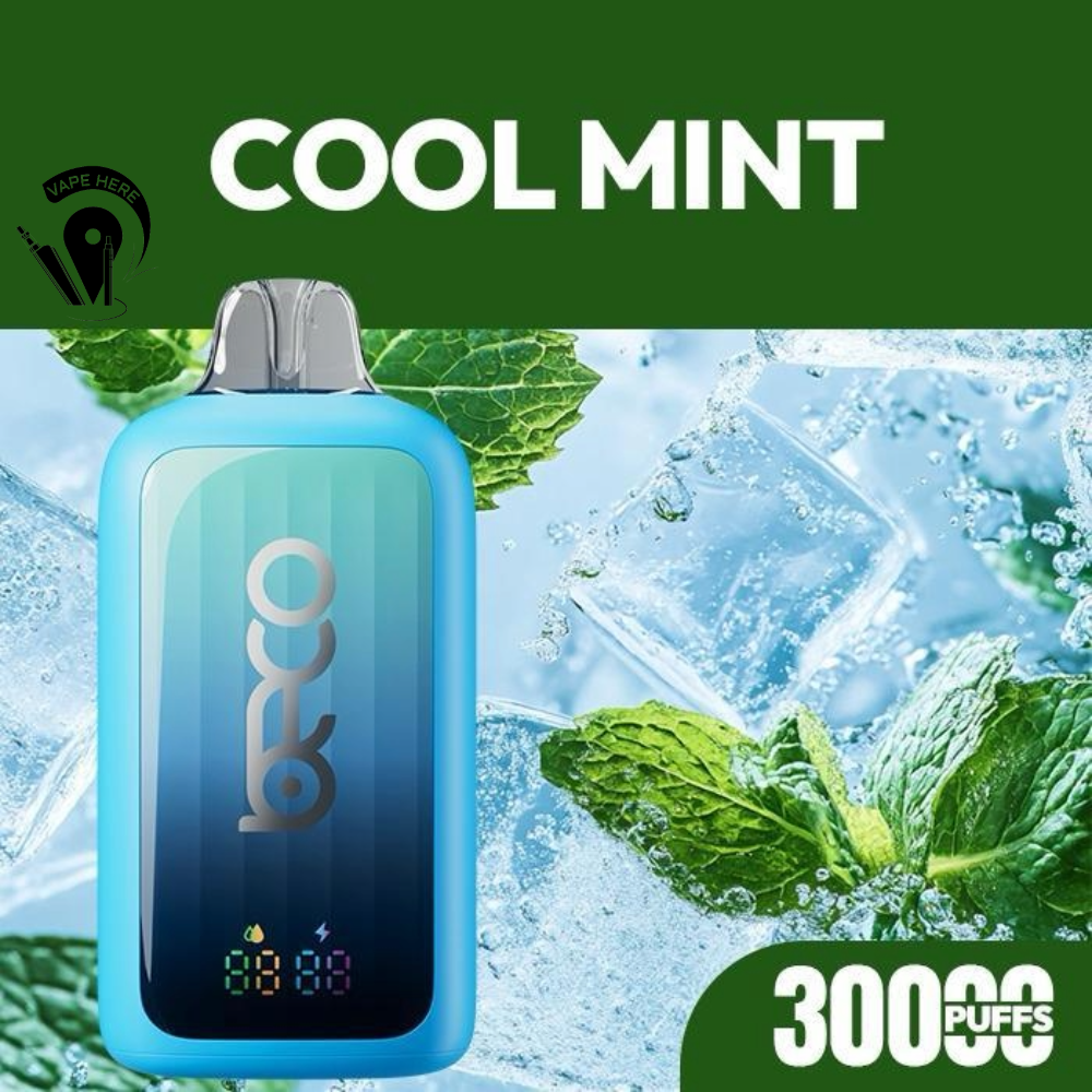 BECO POP 30K PUFFS DISPOSABLE VAPE (20mg) Cool Mint UAE Umm Al Quwain