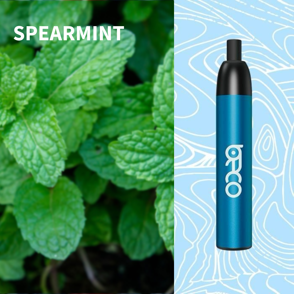 Beco Mesh-X 4500 Puffs Disposable Vape Spearmint UAE Ajman