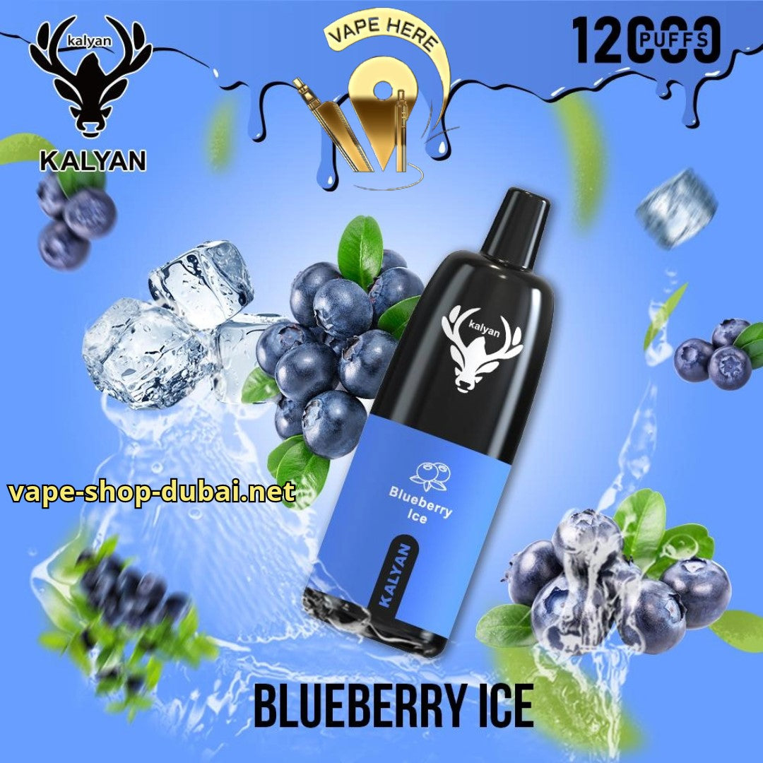 KALYAN PRO 12000 PUFFS Blueberry Ice DISPOSABLE VAPE UAE Dubai