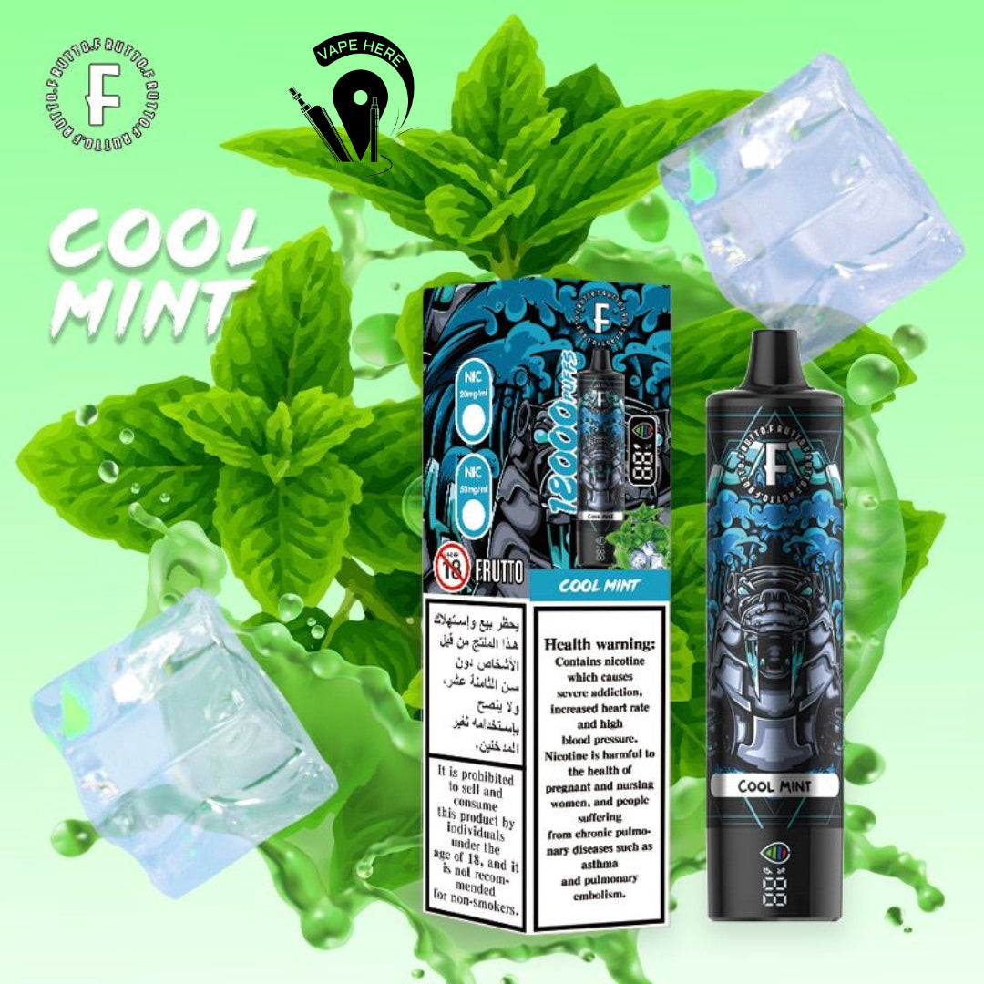 FRUTTO 18000 PUFFS DISPOSABLE VAPE Cool Mint UAE Fujairah