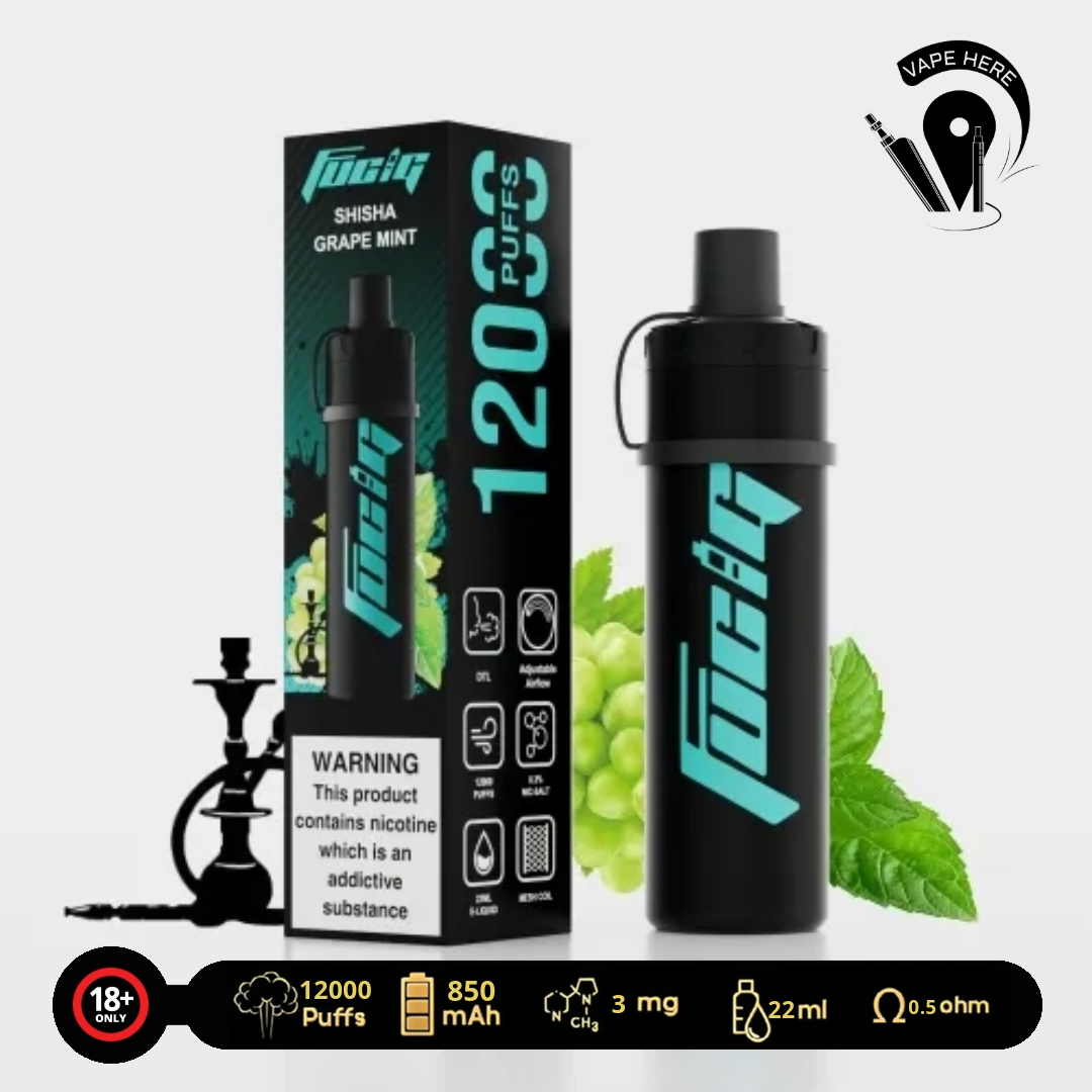 FUCIG SHISHA C12000 PUFFS DISPOSABLE VAPE Grape Mint UAE Dubai