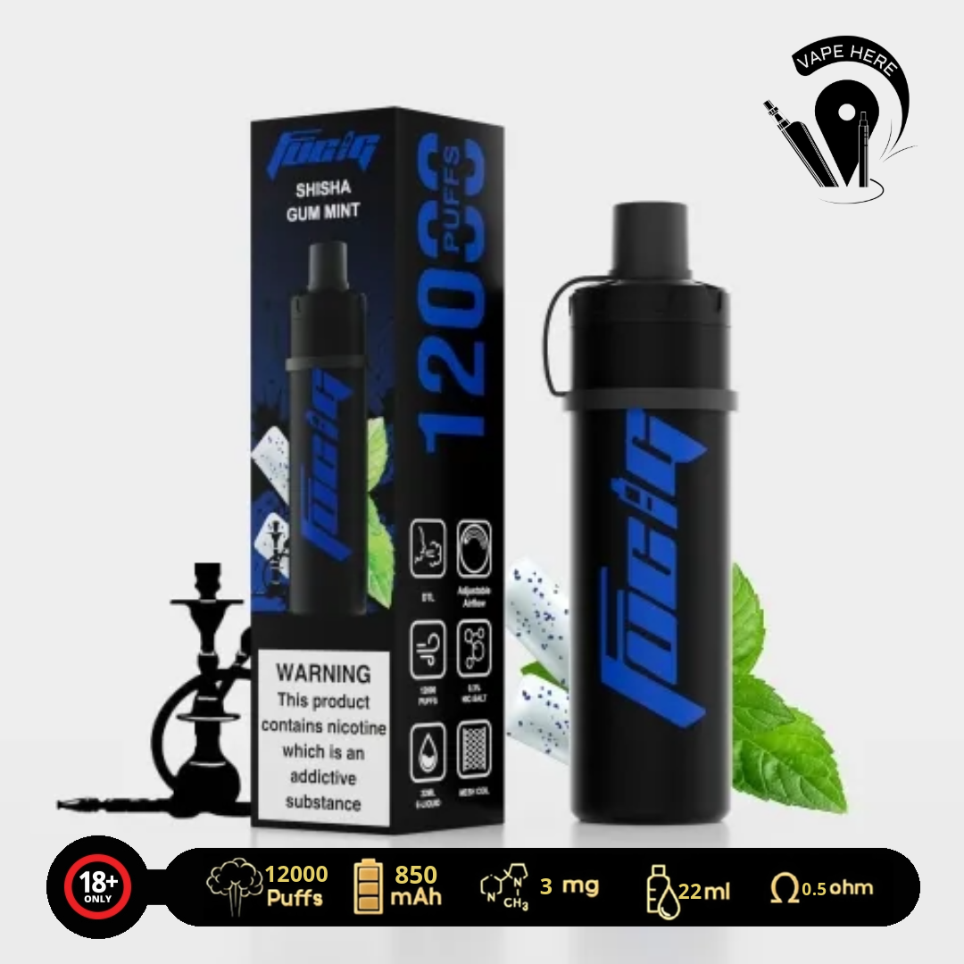 FUCIG SHISHA C12000 PUFFS DISPOSABLE VAPE Gum Mint UAE Ajman