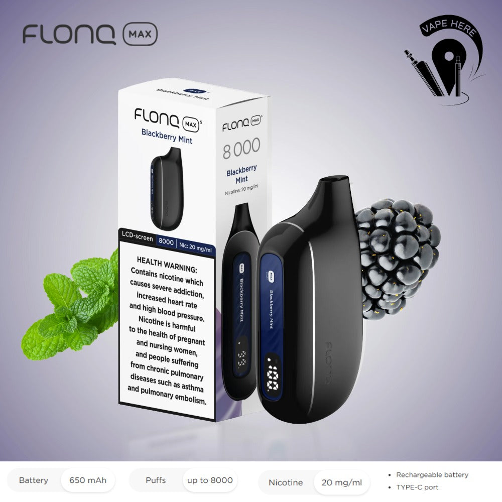 Flonq 8000 Puffs Disposable Vape Blackberry Mint UAE Ajman 