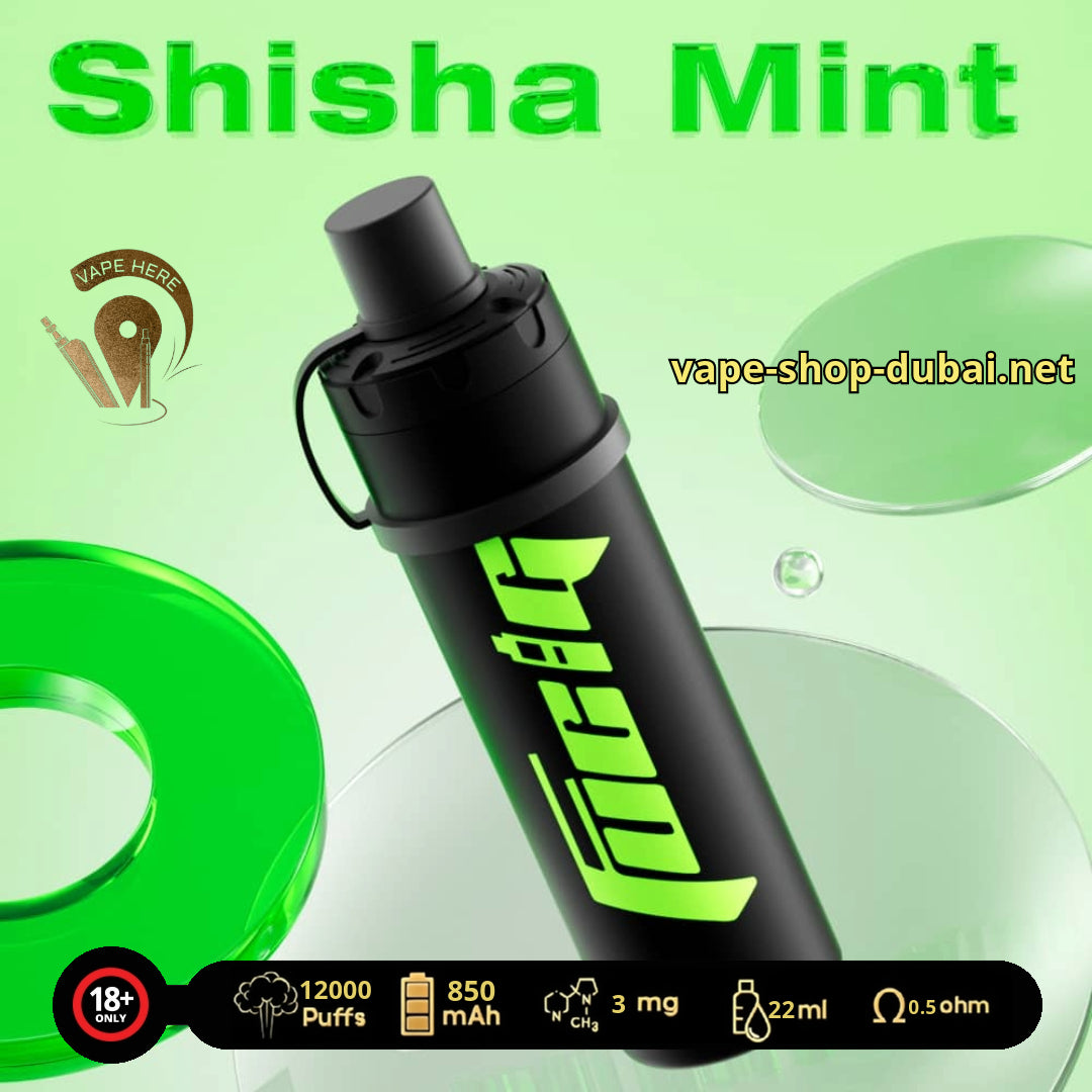 FUCIG SHISHA C12000 PUFFS Shisha Mint UAE Ajman