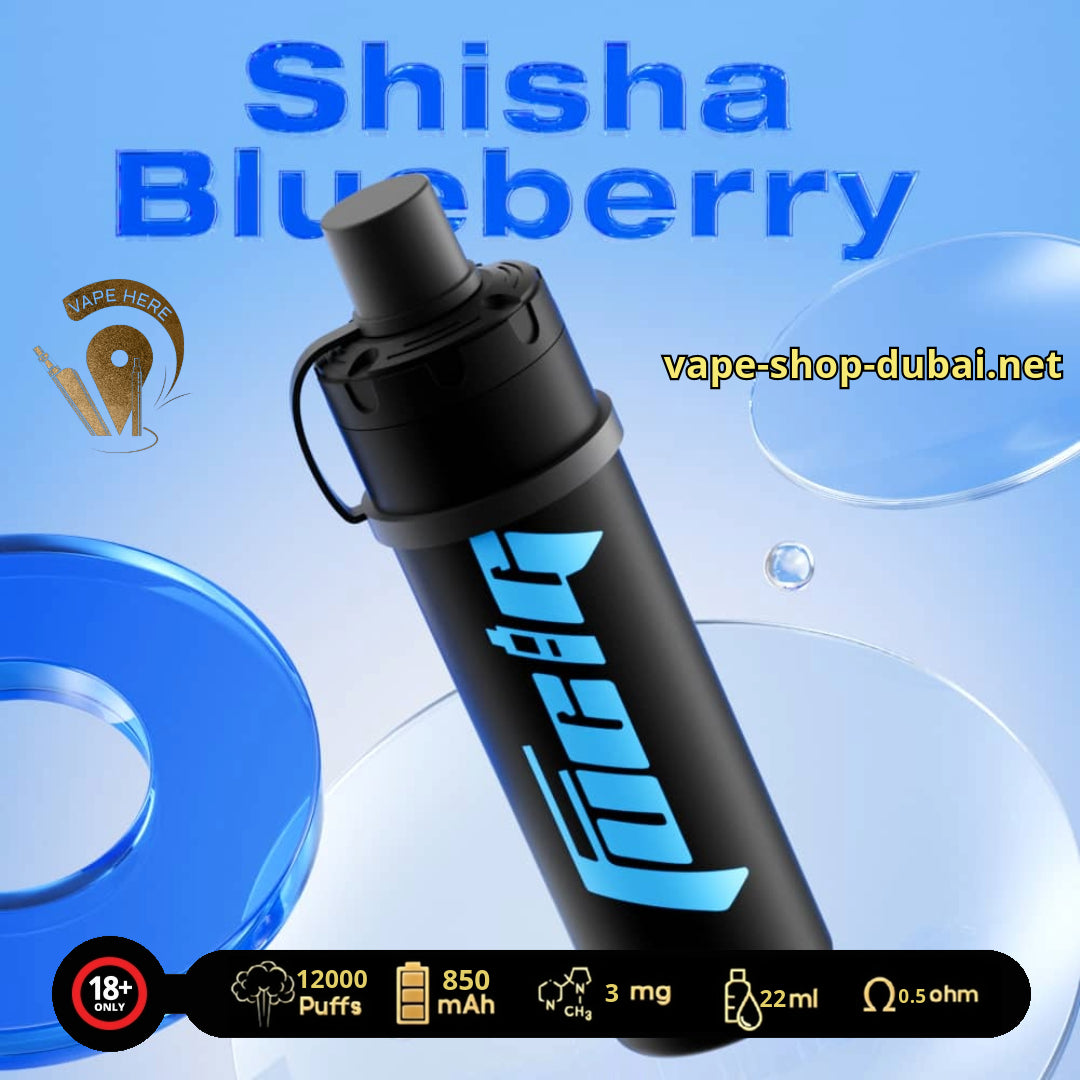 FUCIG SHISHA C12000 PUFFS Shisha Blueberry UAE Ras Al Khaimah