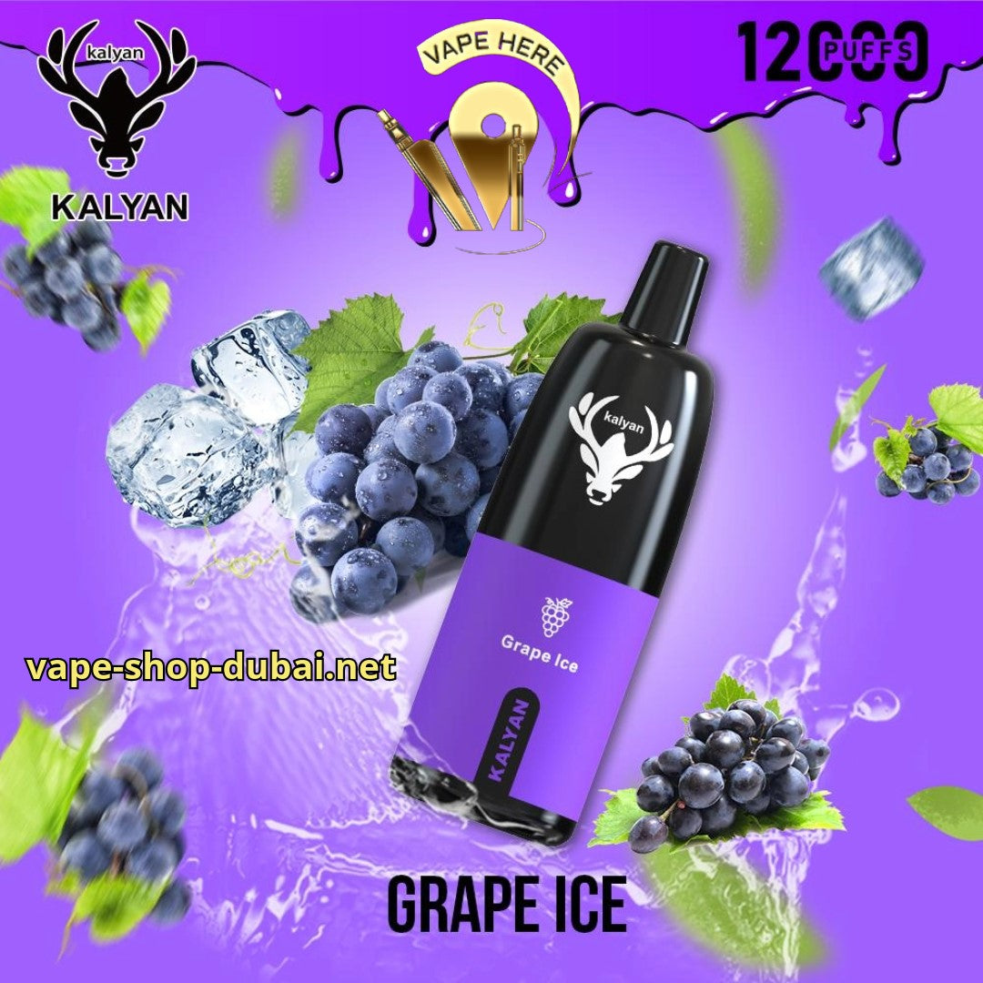 KALYAN PRO 12000 PUFFS Grape Ice DISPOSABLE VAPE UAE Abu Dhabi