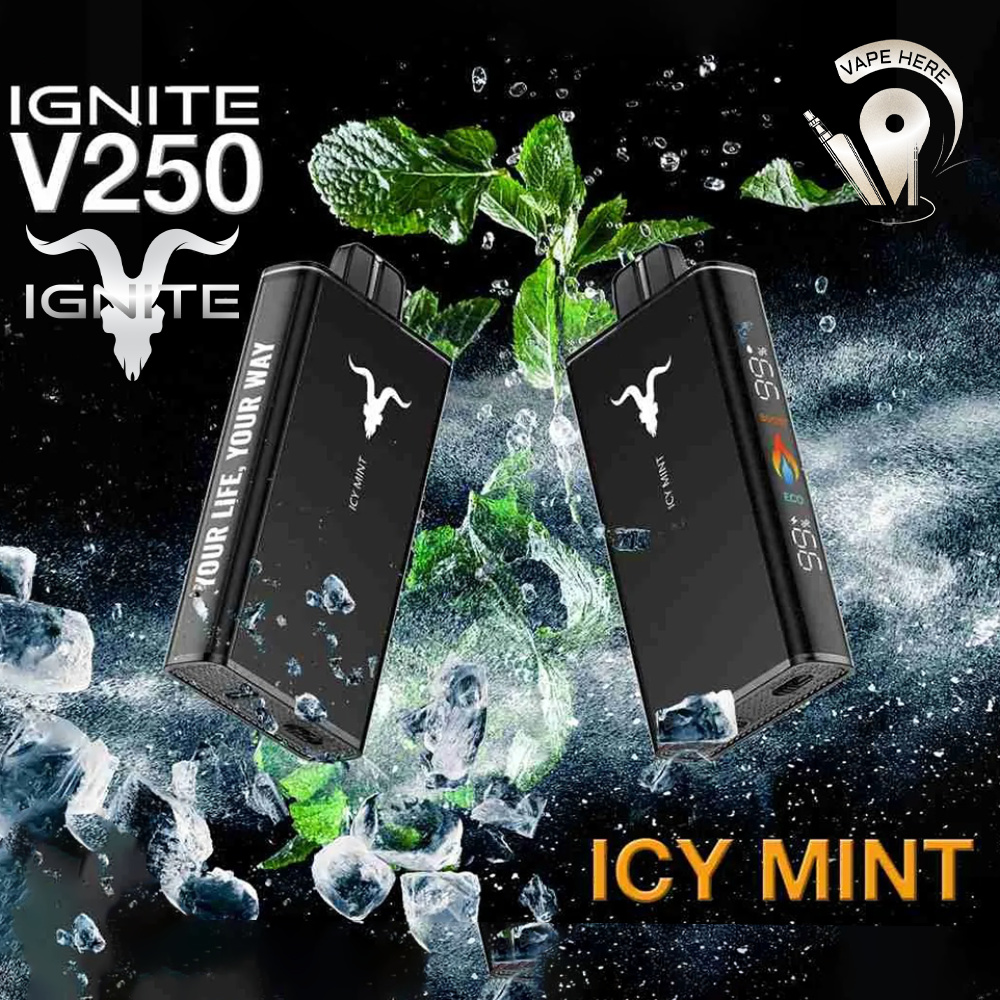 IGNITE V250 Disposable Vape 25K PUFFS Icy Mint UAE Al Ain