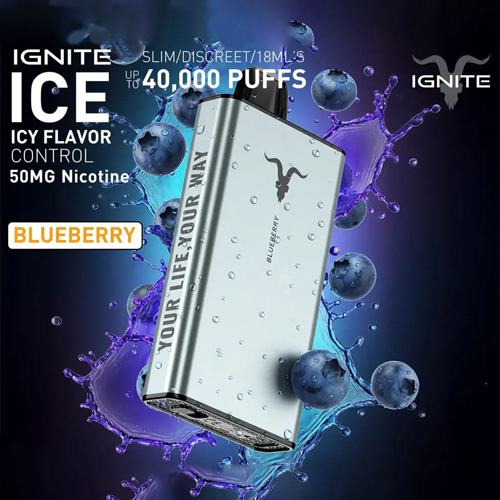 IGNITE ICE Disposable 40K Puffs Blueberry UAE Dubai