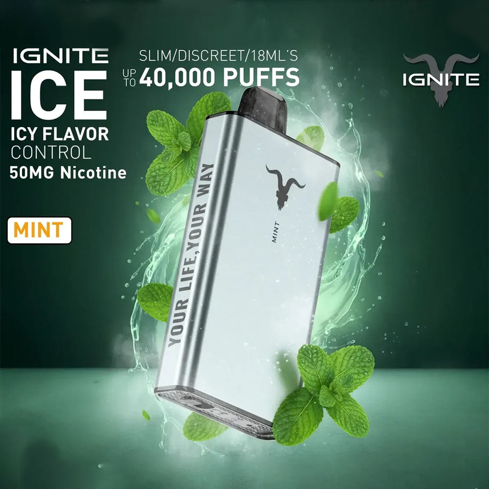 IGNITE ICE Disposable 40K Puffs Mint UAE Ras Al Khaimah