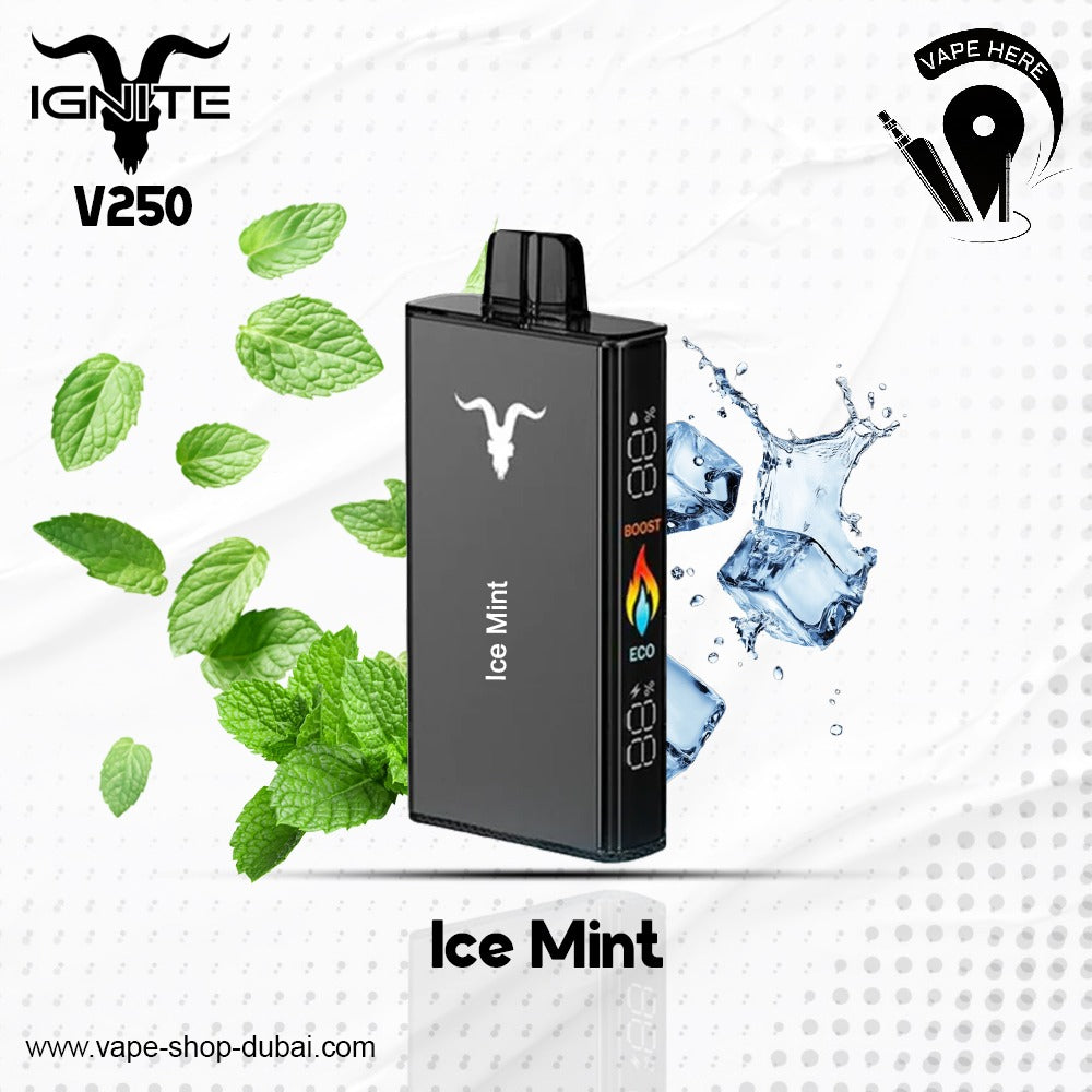 IGNITE_V250_Disposable_Vape_25K_PUFFS_Ice_Mint Ras al khaimah, UAE