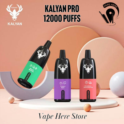 KALYAN PRO 12000 PUFFS DISPOSABLE VAPE-20