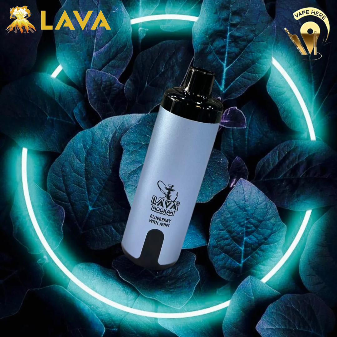 LAVA HOOKAH SOUND 16000 DTL PUFFS DISPOSABLE VAPE Blueberry Mint UAE Sharjah