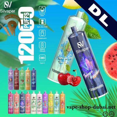 SILVA ROCK DISPOSABLE VAPE DTL 12000 PUFFS - Vape Here Store