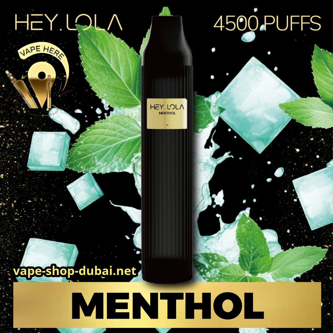 HEY LOLA 4500 PUFFS Menthol DISPOSABLE VAPE UAE Abu Dhabi