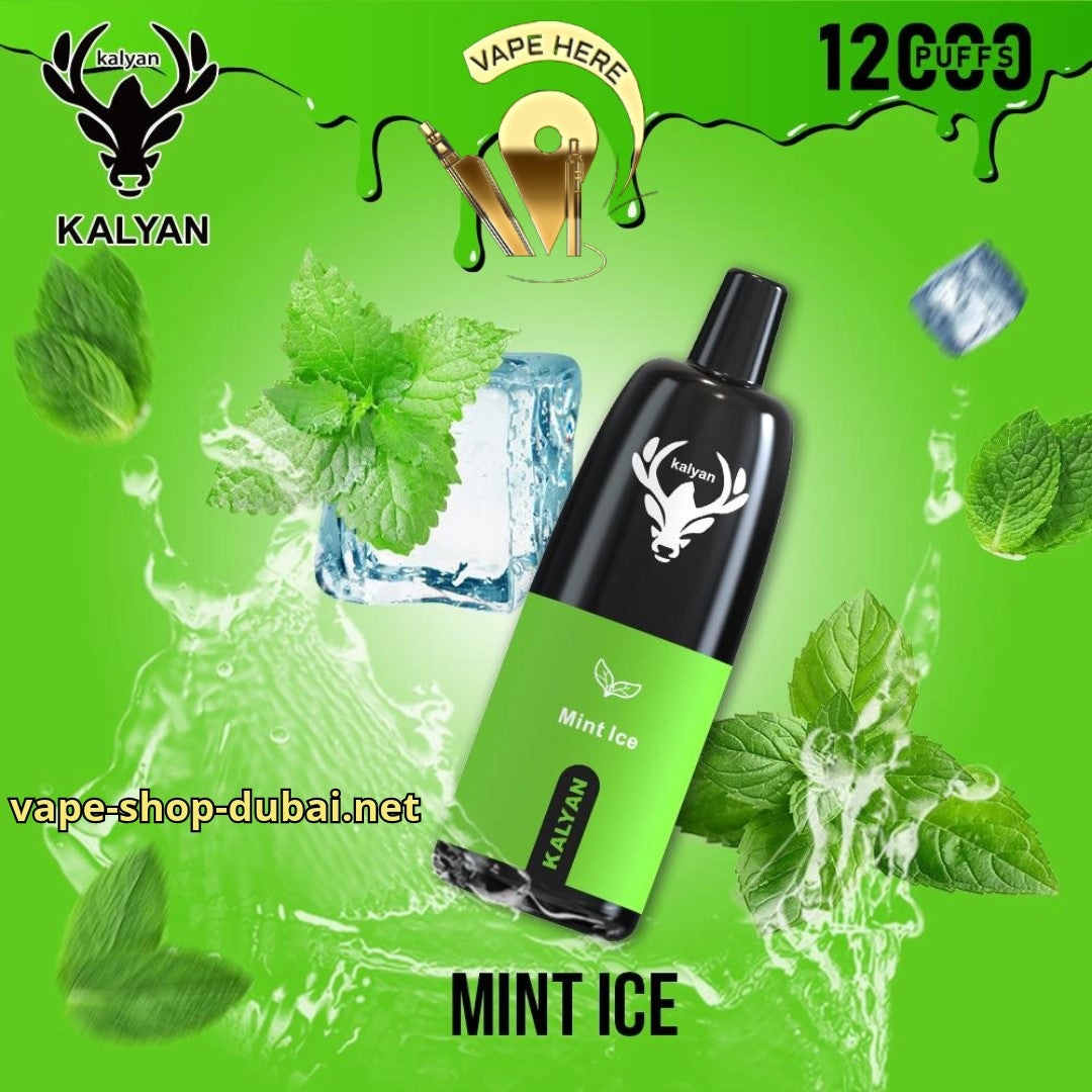 KALYAN PRO 12000 PUFFS Mint Ice DISPOSABLE VAPE UAE Ras Al Khaimah