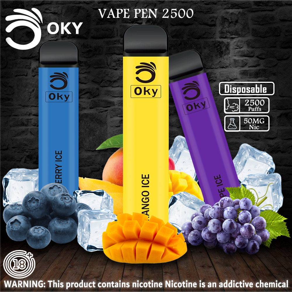 OKY DISPOSABLE VAPE PEN 2500 PUFFS 1200MAH - Vape Here Store