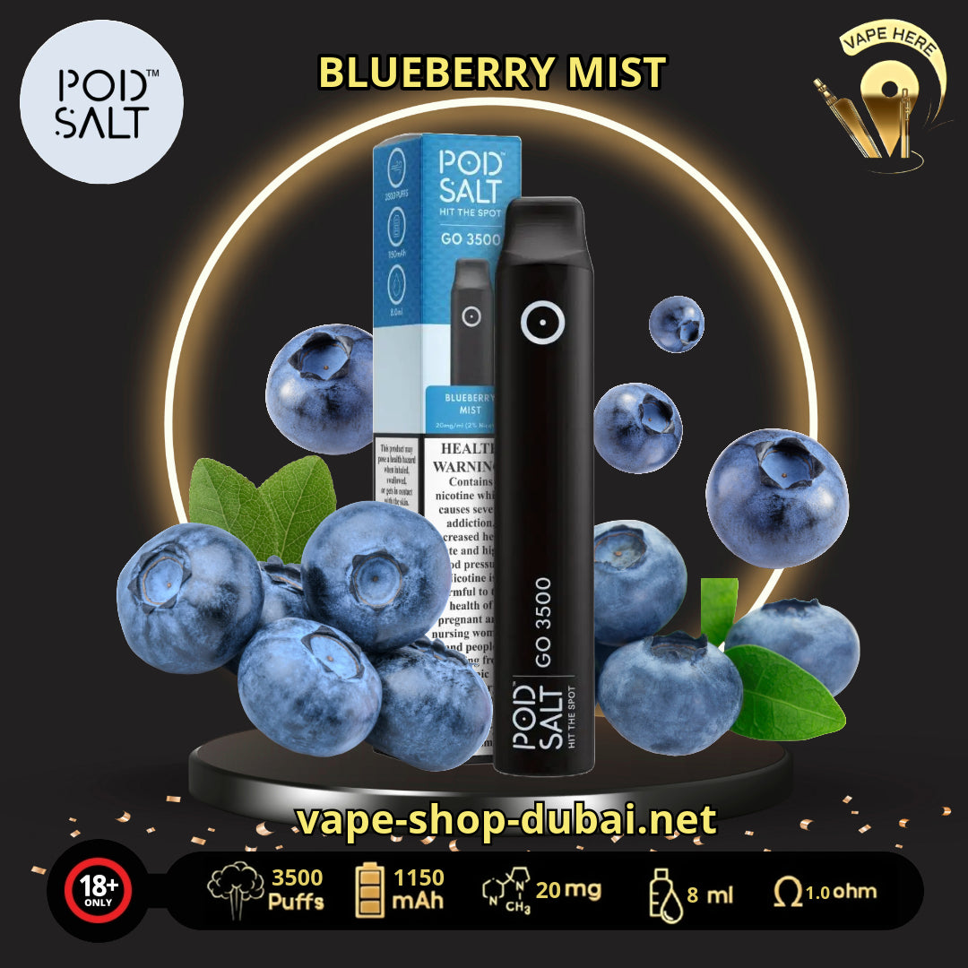 PS GO 3500 PUFFS DISPOSABLE VAPE Blueberry Mist Umm Al Quwain