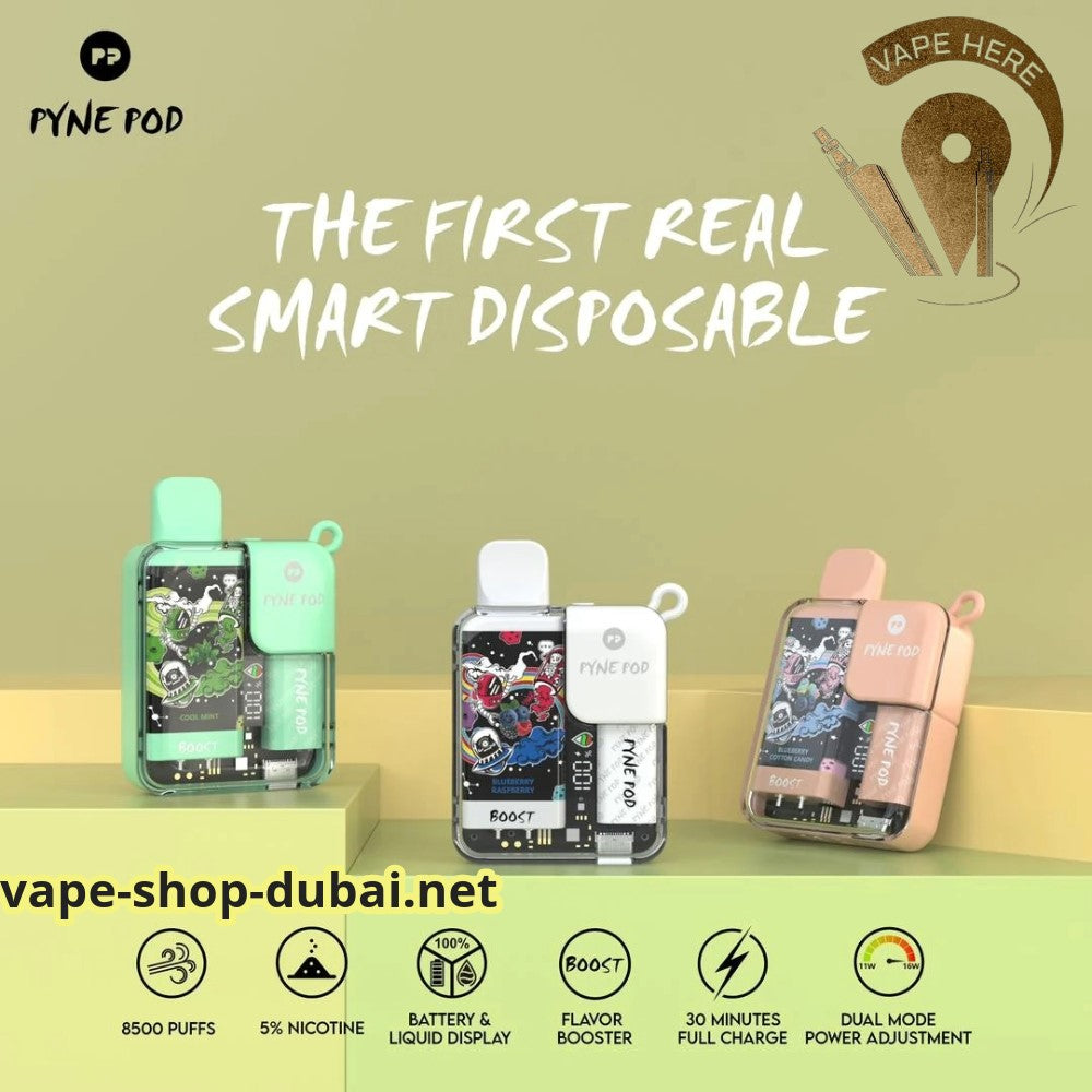 PYNE POD 8500 PUFFS DISPOSABLE VAPE