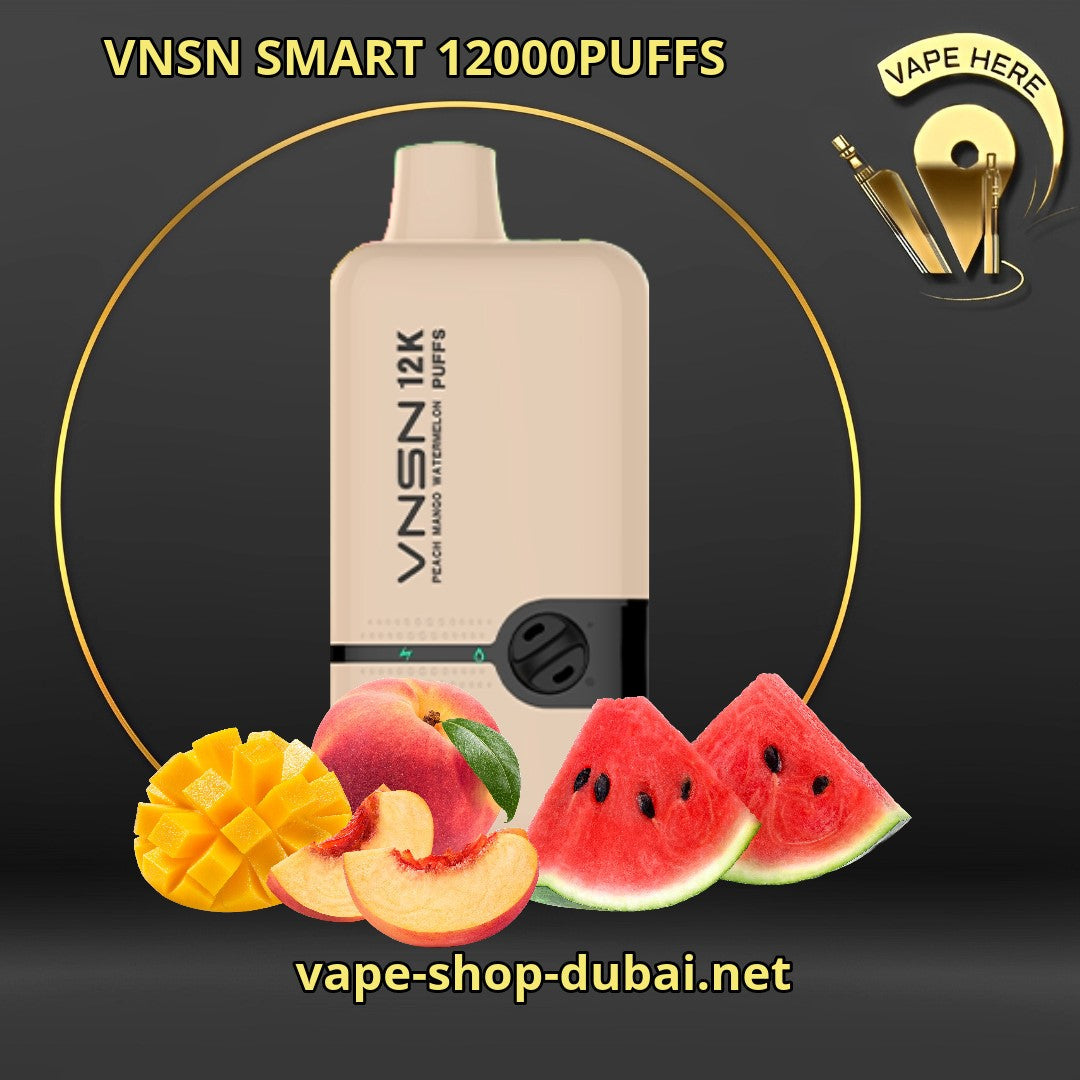 VNSN SMART 12000 PUFFS DISPOSABLE VAPE Sharjah