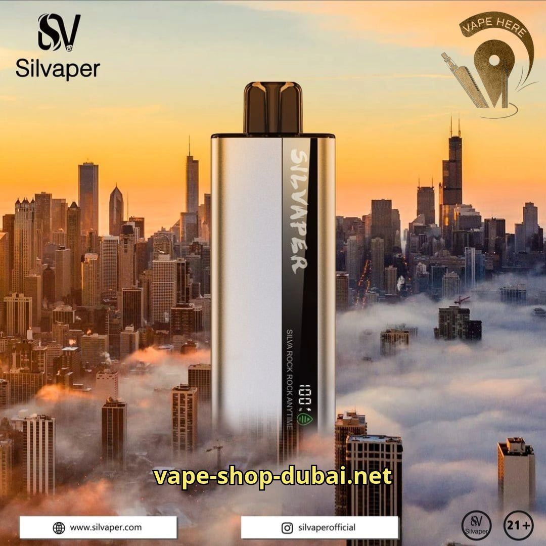 SILVA ROCK ROCK 10000 PUFFS DISPOSABLE VAPE