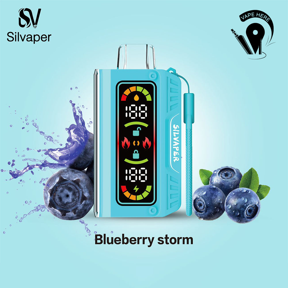 Silvaper 20000 Puffs DTL Disposable Vape 3mg Blueberry Storm UAE Dubai