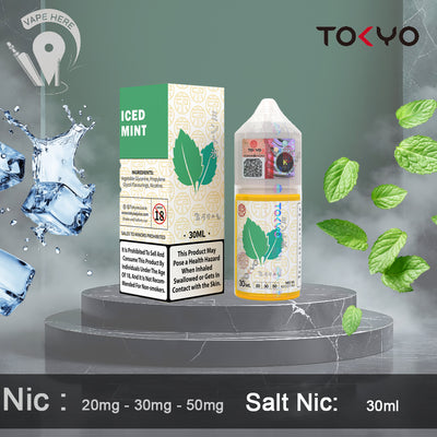 TOKYO MINT SALTNIC 30ML- CLASSIC SERIES UAE Abu Dhabi 