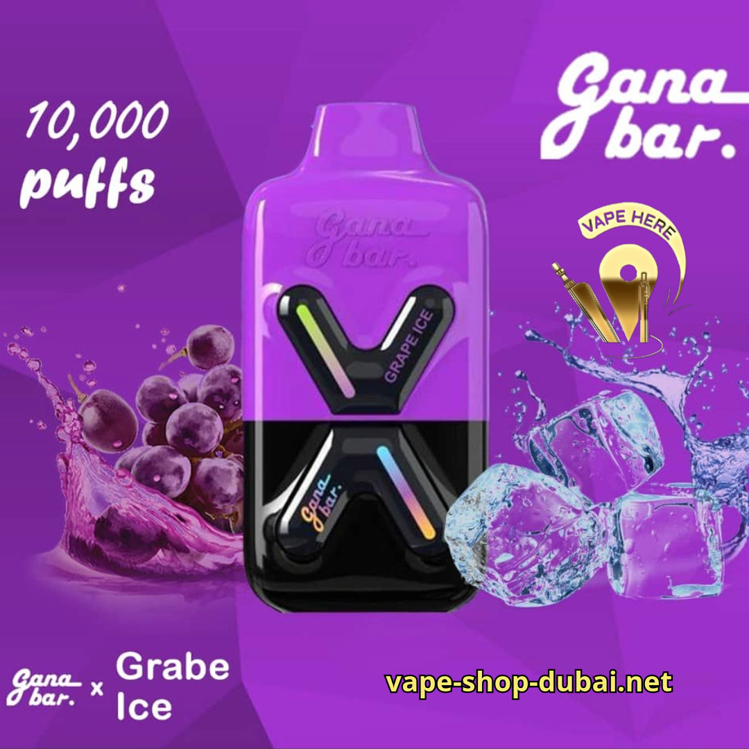 GANA BAR 10000 KIT DISPOSABLE VAPE GRAPE ICE 