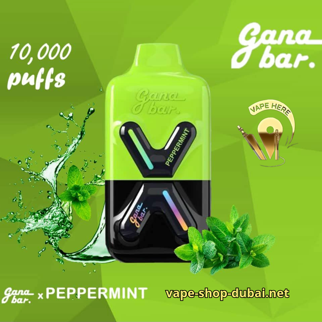 GANA BAR 10000 KIT 5MG  DISPOSABLE VAPE PEPPER MINT