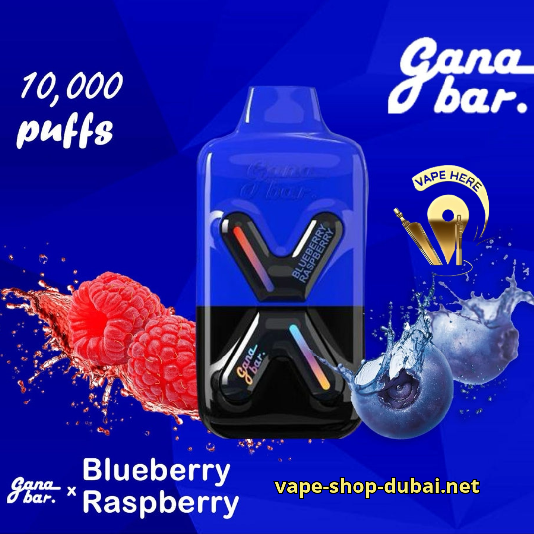 GANA BAR 10000 KIT DISPOSABLE VAPE BLUEBERRY RASPBERRY 