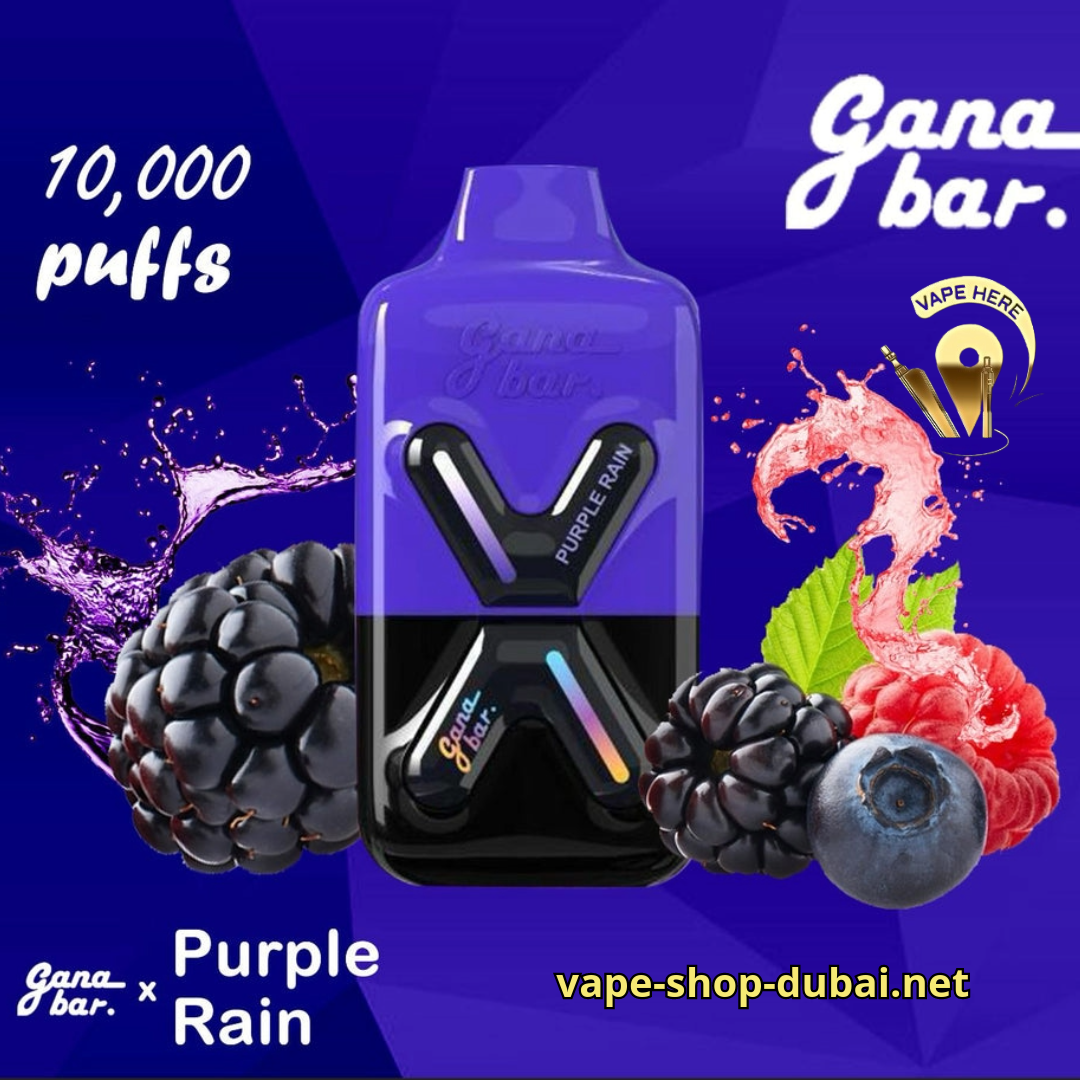 GANA BAR 10000 KIT DISPOSABLE VAPE PURPLE RAIN 