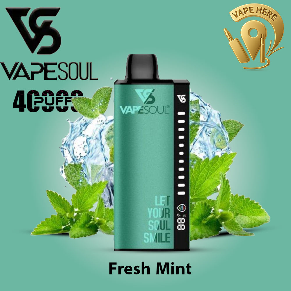 VAPESOUL 40K Puffs  20mg - Disposable Vape Fresh Mint UAE Ras Al Khaimah 