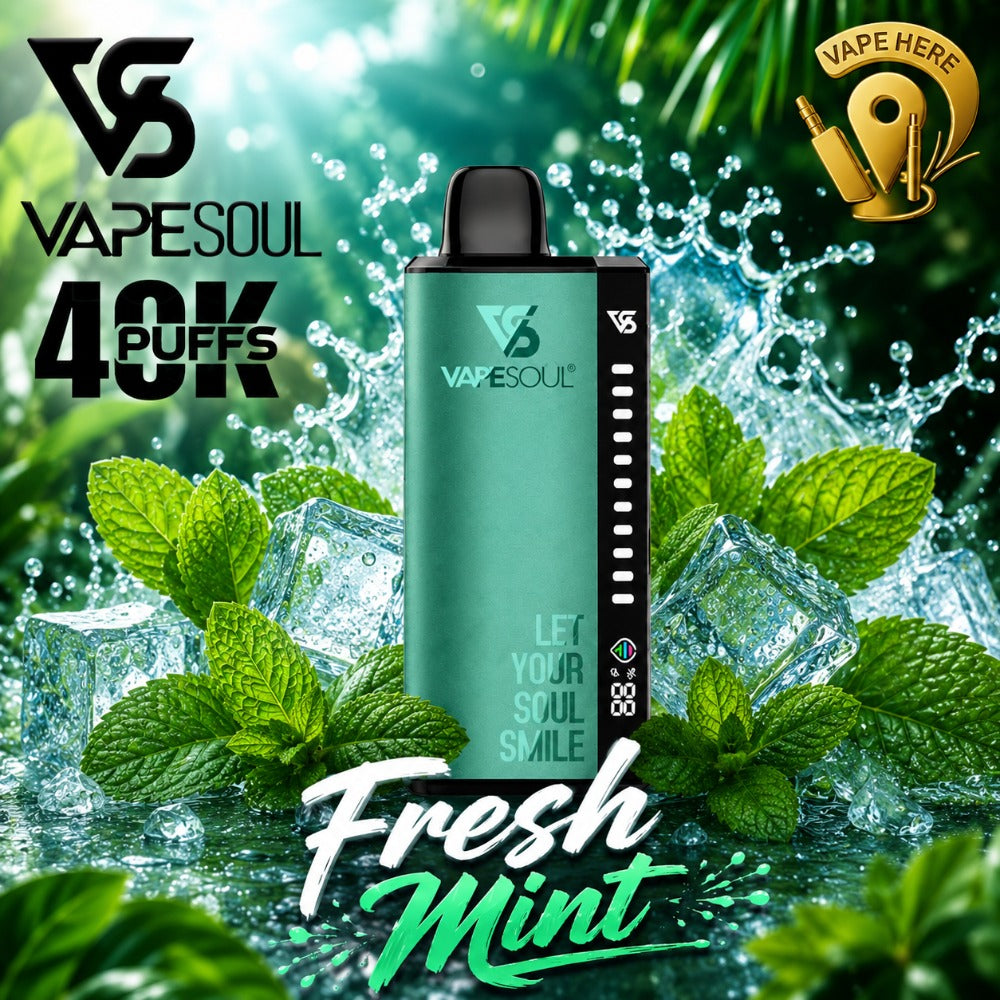 VAPESOUL 40K Puffs  20mg - Disposable Vape Fresh Mint Ras Al Khaimah, UAE