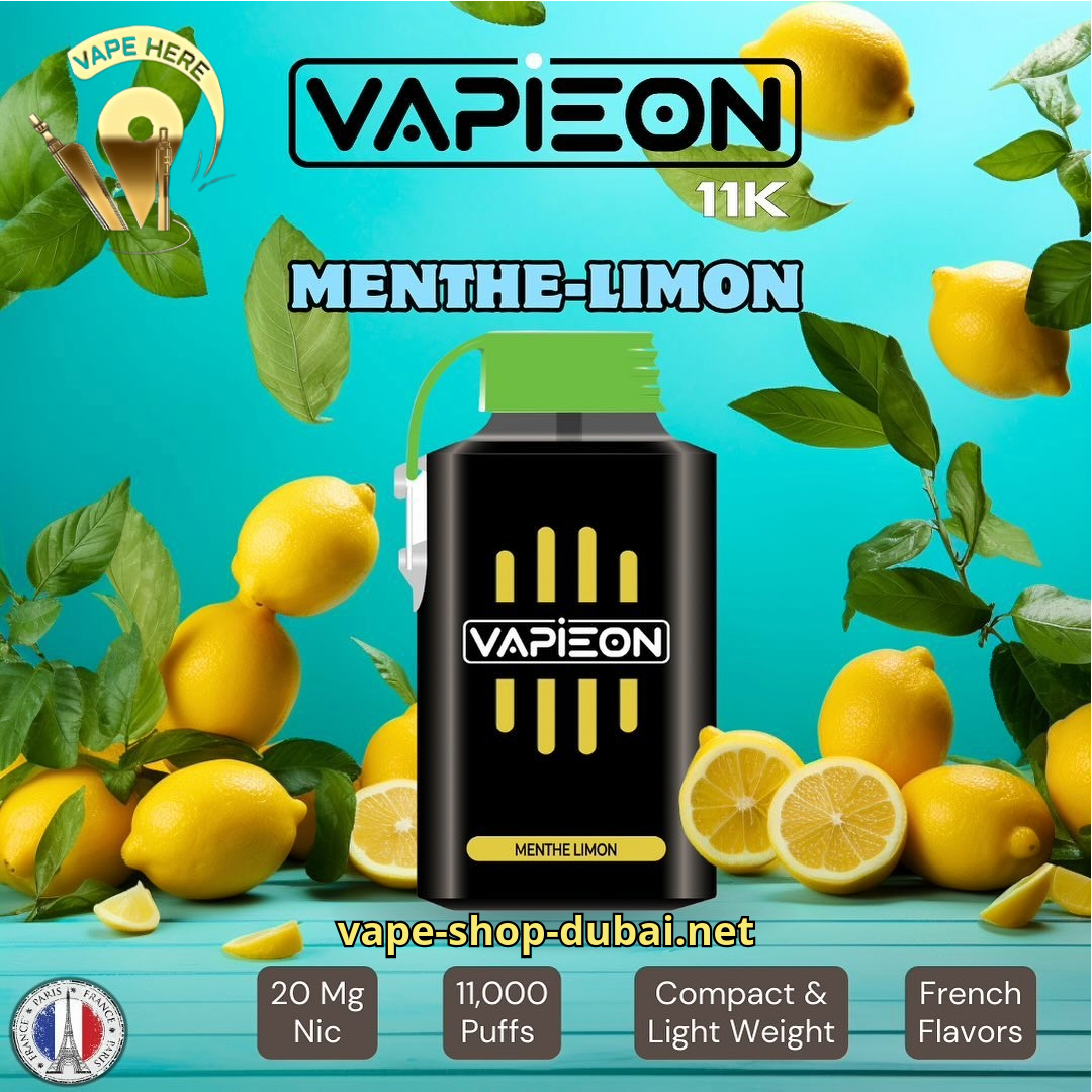 VAPIEON Disposable Vape 11000 Puffs Menthe Lemon (Mint Lemon) UAE Sharjah