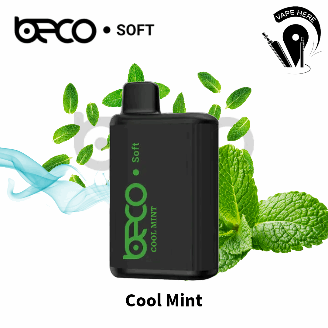 VAPTIO - BECO SOFT DISPOSABLE VAPE 6000 PUFFS Cool Mint UAE Ajman