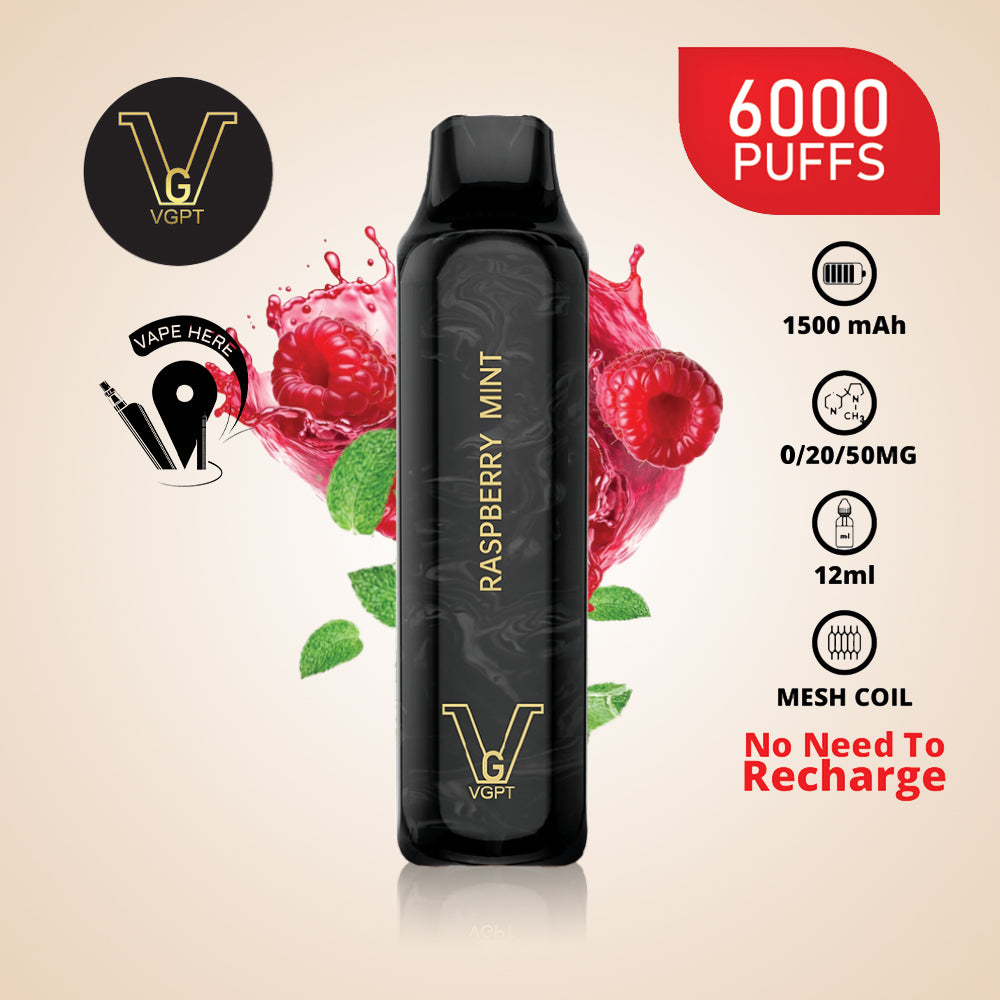 VGPT 6000 PUFFS (0mg, 20mg, 50mg) Disposable Vape Non-Rechargeable Raspberry Mint UAE Sharjah