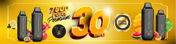 Promotional banner for VGPT premium disposable vape devices with price and discount information.