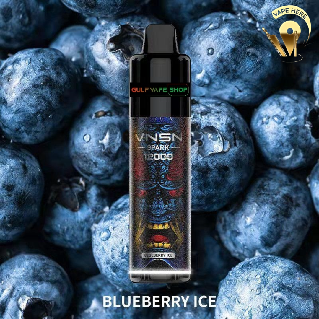 VNSN Spark 12000 Puffs Blueberry Ice UAE Dubai