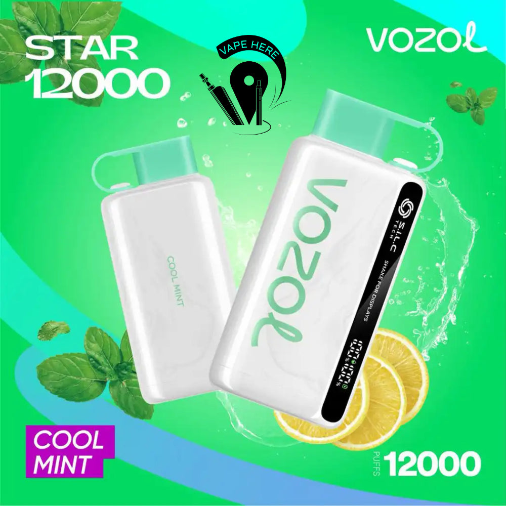 VOZOL STAR 12000 PUFFS DISPOSABLE VAPE Cool Mint UAE Abu Dhabi