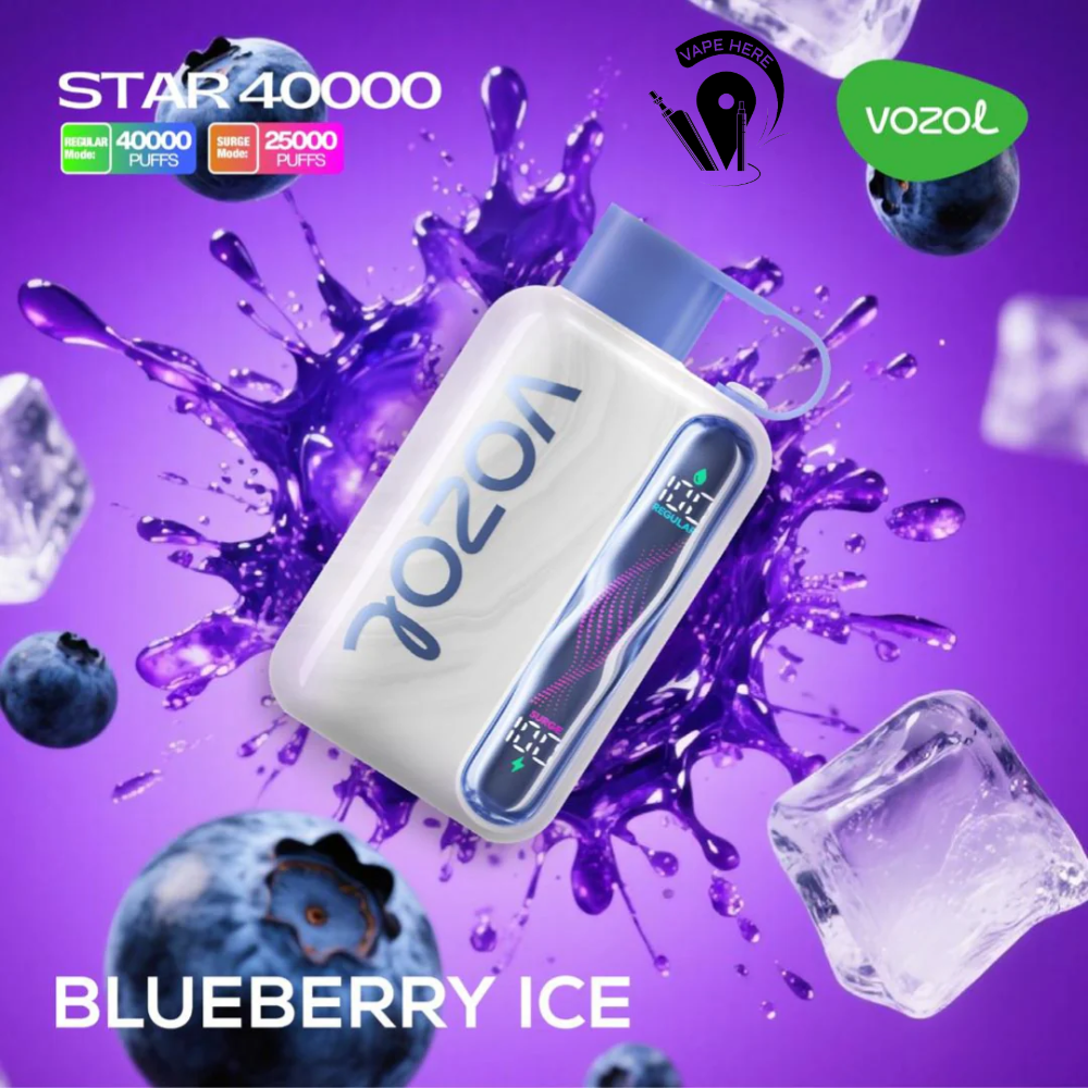 VOZOL STAR 40K DISPOSABLE VAPE Blueberry Ice UAE Ras Al Khaimah