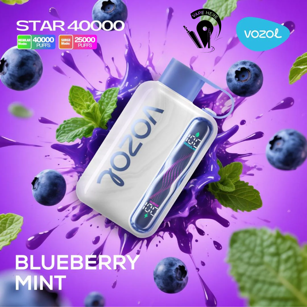 VOZOL STAR 40K DISPOSABLE VAPE Blueberry Mint UAE Al Ain