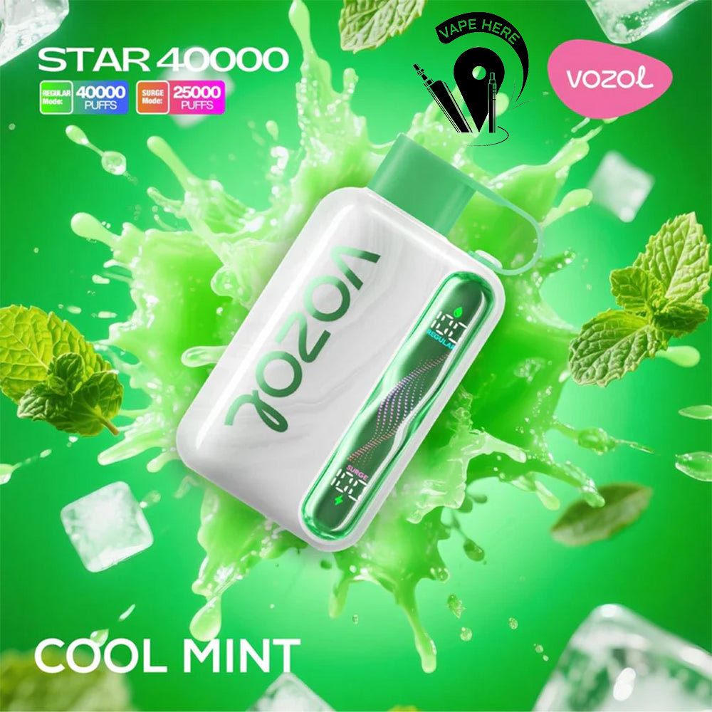 VOZOL STAR 40K DISPOSABLE VAPE (Dual Power Mode) Cool Mint UAE Ajman