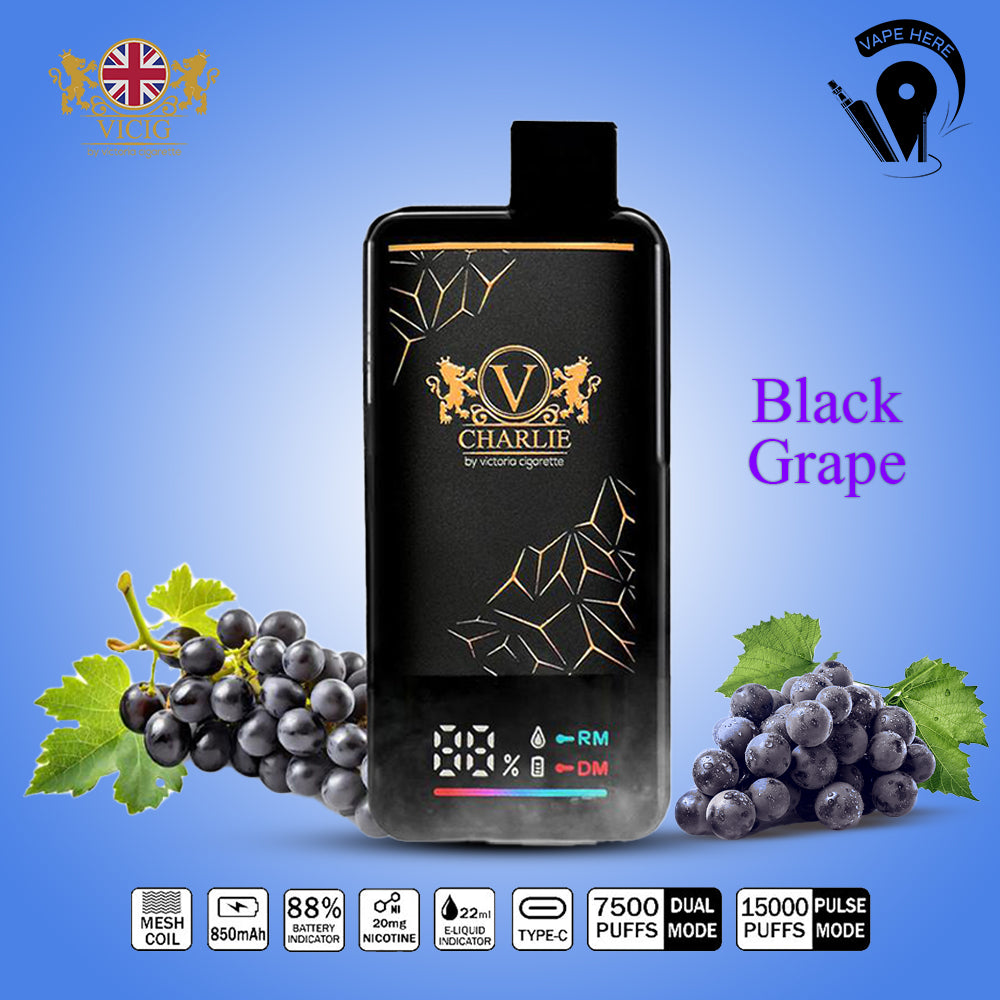 Vicig CHARLIE 15000 Puffs Disposable Vape 50mg & 20mg Black Grape UAE Al Ain