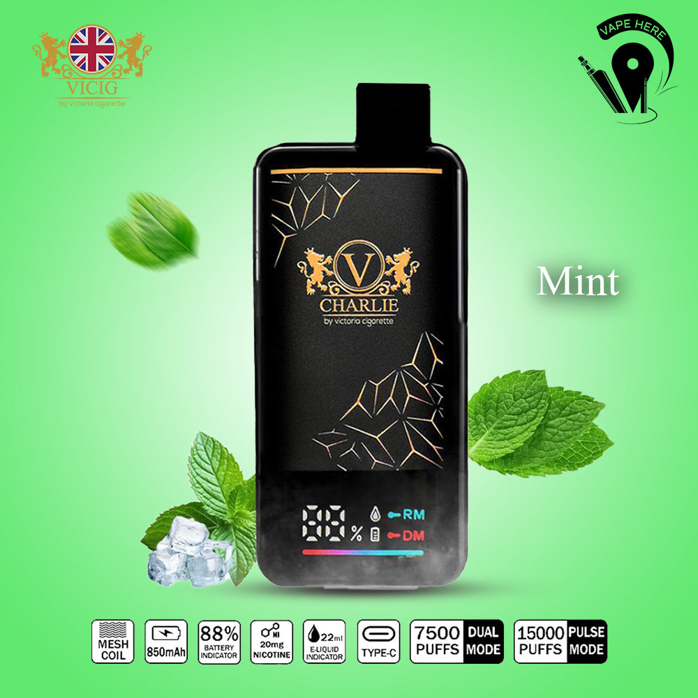 Vicig CHARLIE 15000 Puffs Disposable Vape 50mg & 20mg Mint Ice UAE Dubai