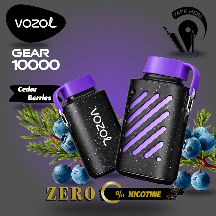 ZERO Nicotine Disposable Vape | VOZOL GEAR 10K Puffs Vape Here Store