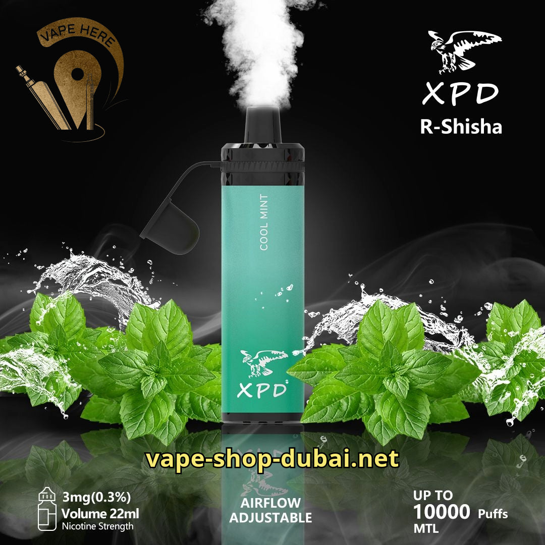 XPD R-SHISHA 10000 DISPOSABLE VAPE Cool Mint UAE Fujairah