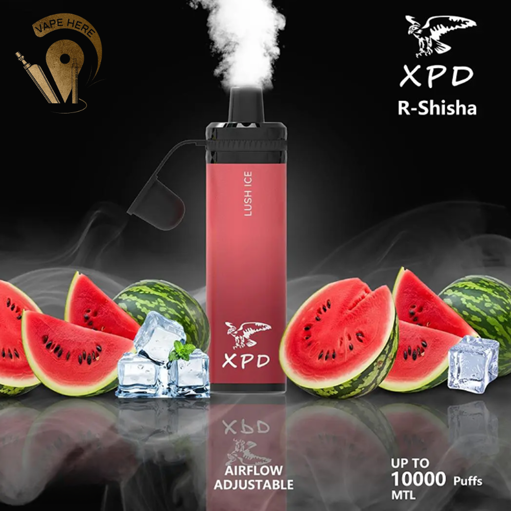 XPD BAR SHISHA 10000 PUFFS DISPOSABLE VAPE Lush Ice UAE Dubai 