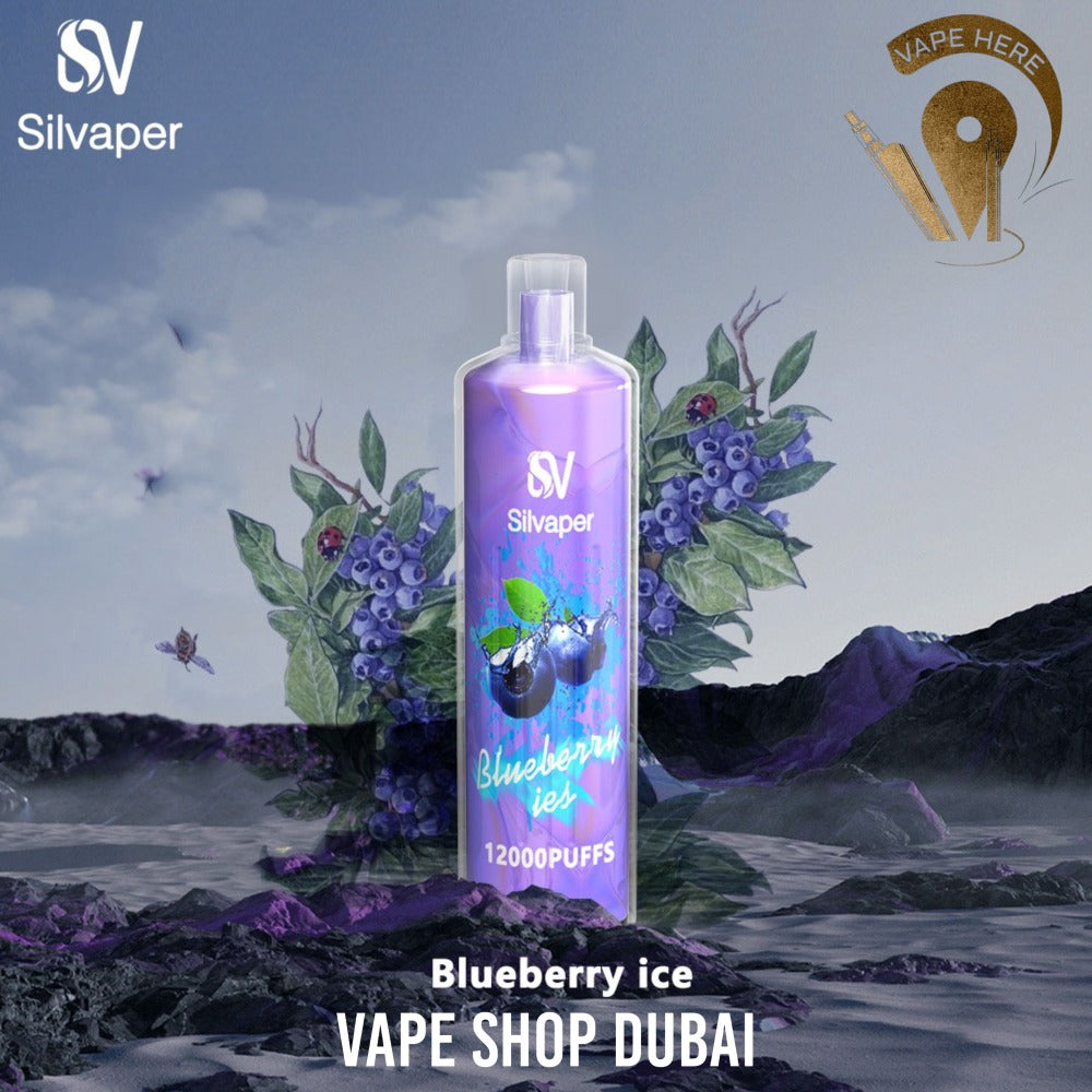 SILVA ROCK DISPOSABLE VAPE DTL 12000 PUFFS - Vape Here Store