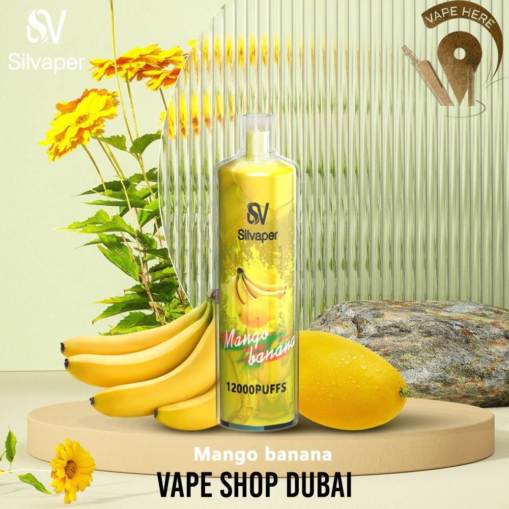 SILVA ROCK DISPOSABLE VAPE DTL 12000 PUFFS - Vape Here Store